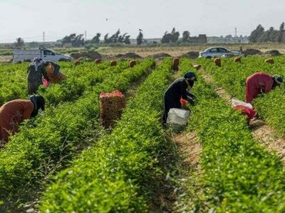 Agri reforms in Pakistan on the cards