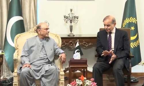 PM meets Zardari