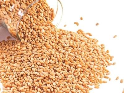 French wheat stocks seen at 21-year high