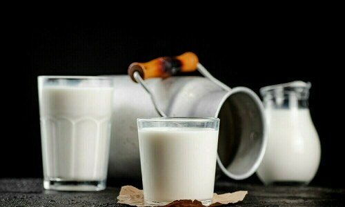 PFA, PDA join hands to uplift dairy sector