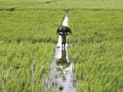 SCA rejects &lsquo;45pc agricultural income tax&rsquo;