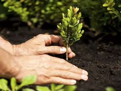 JI launches tree-plantation drive