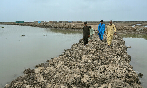ڈیلٹا کی موت، سکڑتا دریائے سندھ اور معدوم ہوتی زندگی