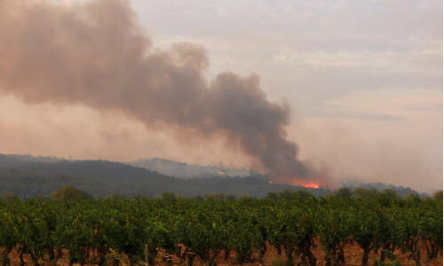 Wildfire in southern France kills one, progressing &lsquo;quickly&rsquo;