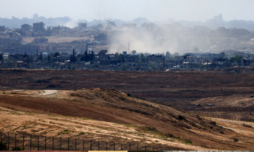 Only 1.5% of Gaza farmland usable: FAO