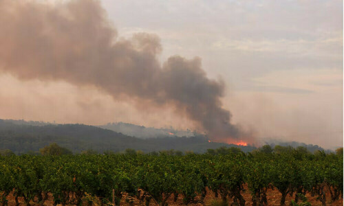 France battles largest wildfire in decades, one person killed