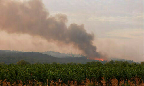 Massive French wildfire now contained, 16,000 hectares affected, local authorities say