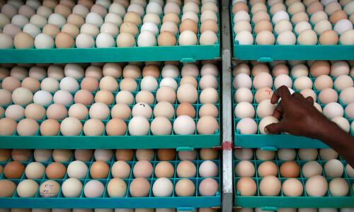 Venky&rsquo;s India reports 79% slump in quarterly profit as poultry business shrinks