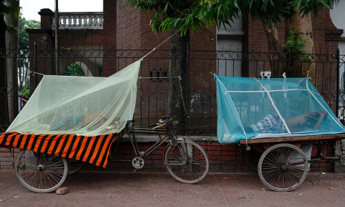 Bangladesh dengue deaths top 100, August could be worse