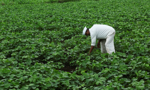 India&rsquo;s ethanol drive imperils its push for edible oil self-sufficiency