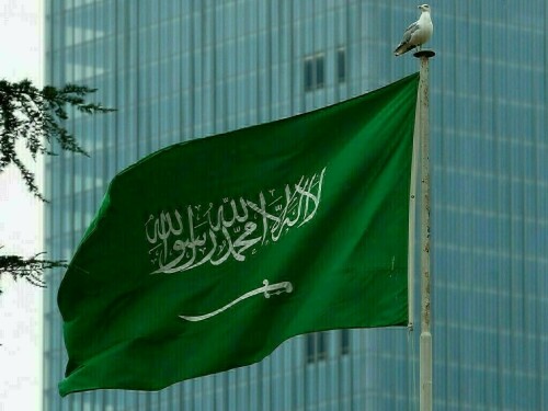 Saudi gigaprojects take $8 billion hit in reality check for diversification efforts