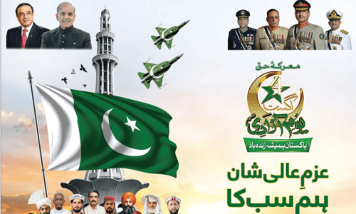 Govt’s independence day ad draws criticism for excluding images of Quaid, Iqbal