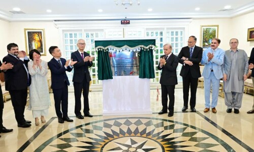 PM Shehbaz launches Chinese textile group&rsquo;s economic zone, expecting $400m in exports