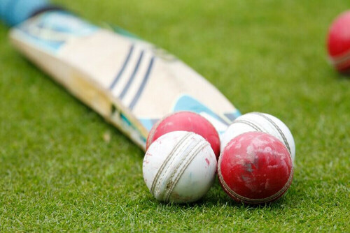 South Africa spinner Subrayen cited for suspect bowling action