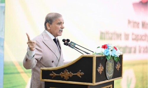 وزیرِاعظم کا کپاس کی پیداوار میں کمی پر تشویش کا اظہار، قومی سطح پر کوششوں پر زور