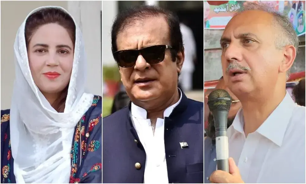 رانا ثنااللہ کےگھر حملے کا کیس:عمر ایوب، شبلی فراز اور زرتاج گل سمیت درجنوں ملزمان کو 10،10 سال قید کی سزا