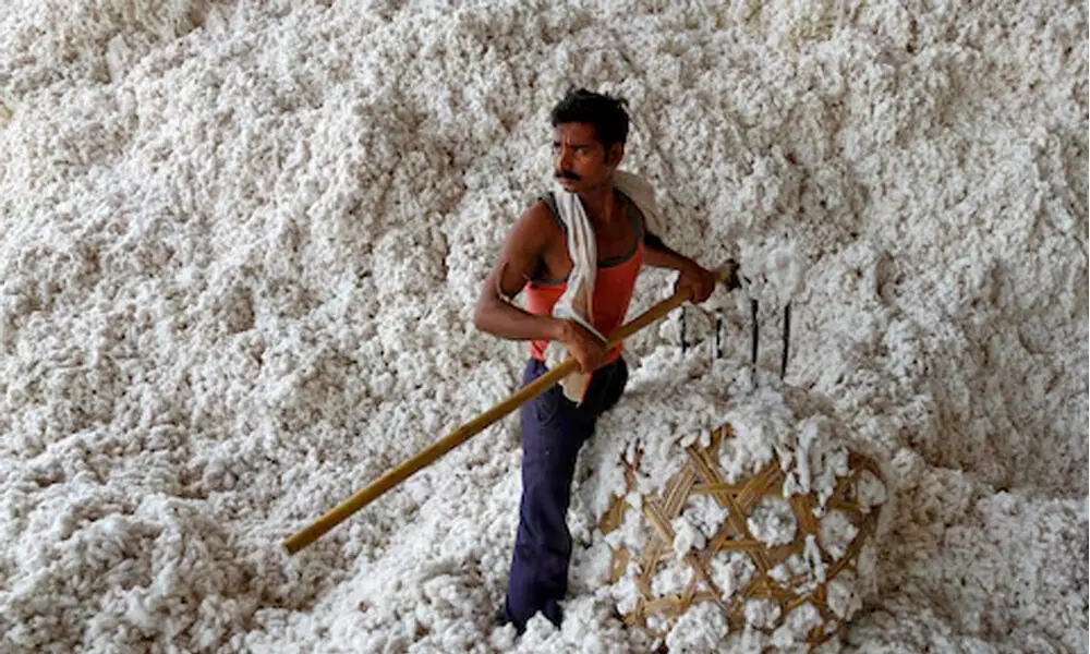 India extends cotton import duty exemption amid US tariff pressure