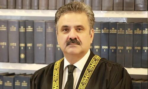 Justice delivery: CJP for targeted interventions to bridge disparities