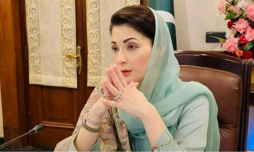Maryam pays tributes to Kashmiris on ‘Kashmir Exploitation Day’