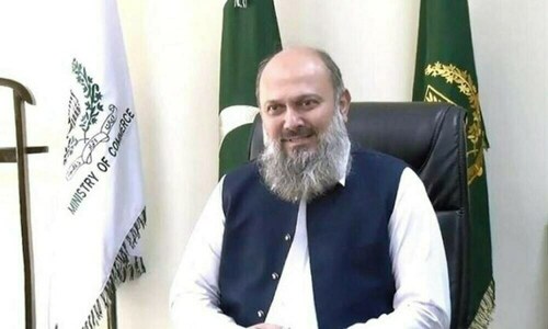 NLC-DP World delegation meets commerce minister