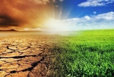 ‘Pakistan needs $50bn annually to mitigate to climate risks’