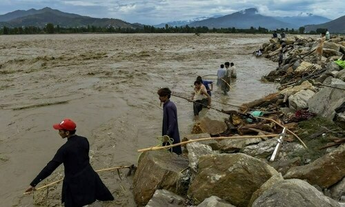 Heavy rains, floods claim 313 lives across KP