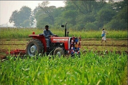 Agriculture growth turns negative: PKI