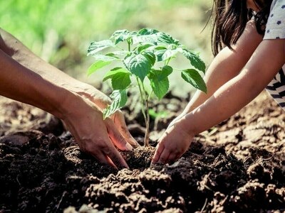Importance of community involvement in plantation campaigns stressed