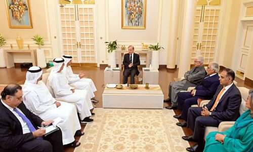 Outgoing UAE envoy meets PM