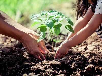 Barren mountains of Balochistan: 2nd phase of afforestation drive concludes