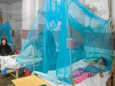ICT records 122 dengue virus cases this season ICT records 122 dengue virus cases this season