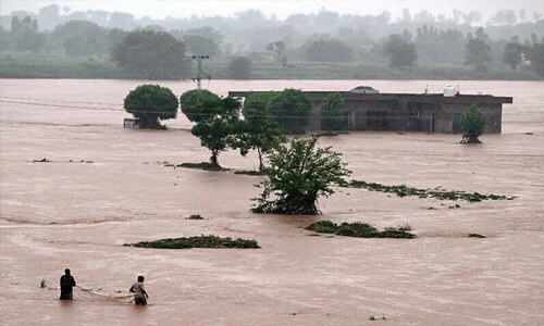 No wetlands, no aid