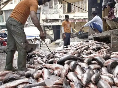 بلیو اکانومی، درست پالیسیوں سے سی فوڈ برآمدات 2 ارب ڈالر تک پہنچ سکتی ہیں