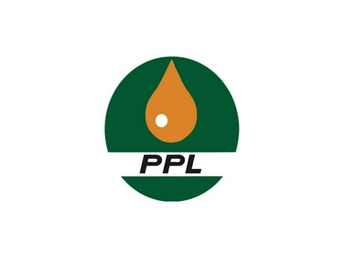 PPL makes big oil & gas discovery in Attock district