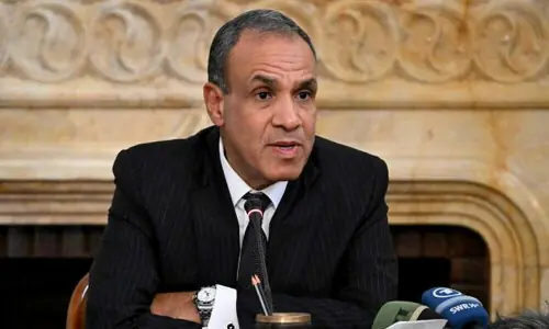 Egypt says describing displacement of Palestinians as voluntary is &lsquo;nonsense&rsquo;