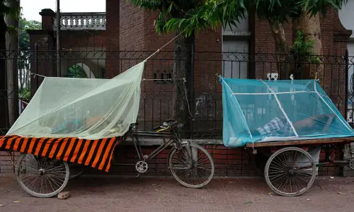 Bangladesh battles rising tide of dengue and chikungunya