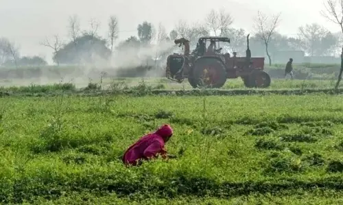 زرعی آمدنی ٹیکس کے امکانات کو نظرانداز کرنے پر صوبائی حکومتوں پر تنقید