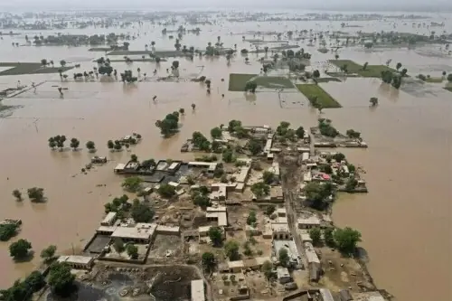 Floods ravage over 1.3mn acres of agricultural land in Punjab, says PBF Floods ravage over 1.3mn acres of agricultural land in Punjab, says PBF