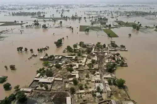 پنجاب میں سیلاب سے 13 لاکھ ایکڑ زرعی اراضی تباہ ہوگئی، پاکستان بزنس فورم پنجاب میں سیلاب سے 13 لاکھ ایکڑ زرعی اراضی تباہ ہوگئی، پاکستان بزنس فورم