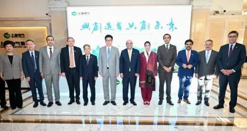 President Zardari assures Shanghai Electric of resolving &lsquo;any outstanding issues&rsquo;