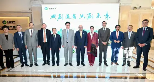 صدر آصف علی زرداری کی شنگھائی الیکٹرک کو تمام زیر التوا مسائل حل کرنے کی یقین دہانی