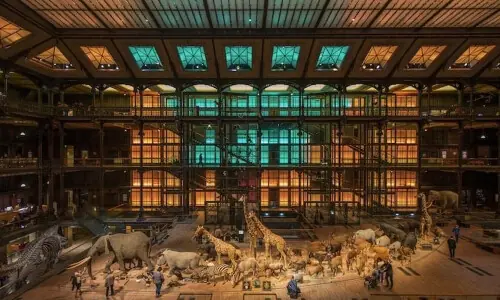 Gold worth 600,000 euros stolen in Paris museum heist Gold worth 600,000 euros stolen in Paris museum heist