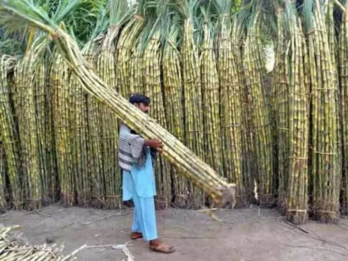 کیا حکومت کسان دشمن ہے؟