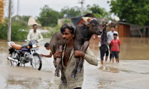 Above average rain in October likely to damage crops in India