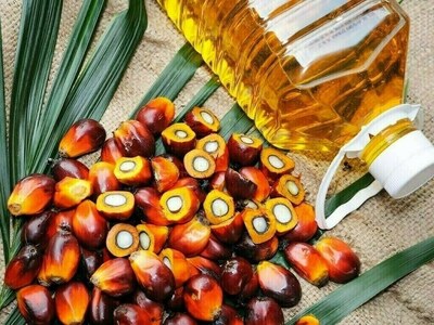 Palm oil rises on bargain-buying