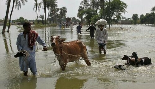 Agri dept sets up 344 relief centres across Punjab