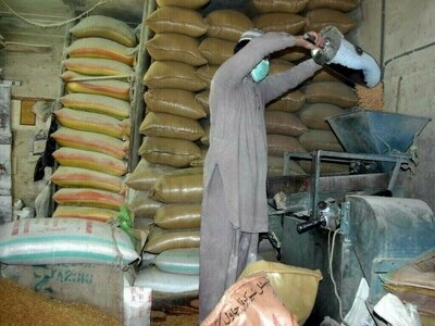 PFMA assails Punjab govt for imposing ban on wheat movement