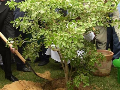 Biodiversity protection: First Flora Conservation Station launched in Thar