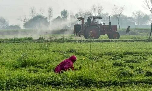 Tax income from agriculture