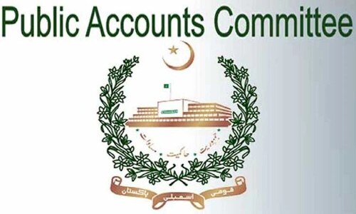 PAC panel reviews Finance Div audit reports